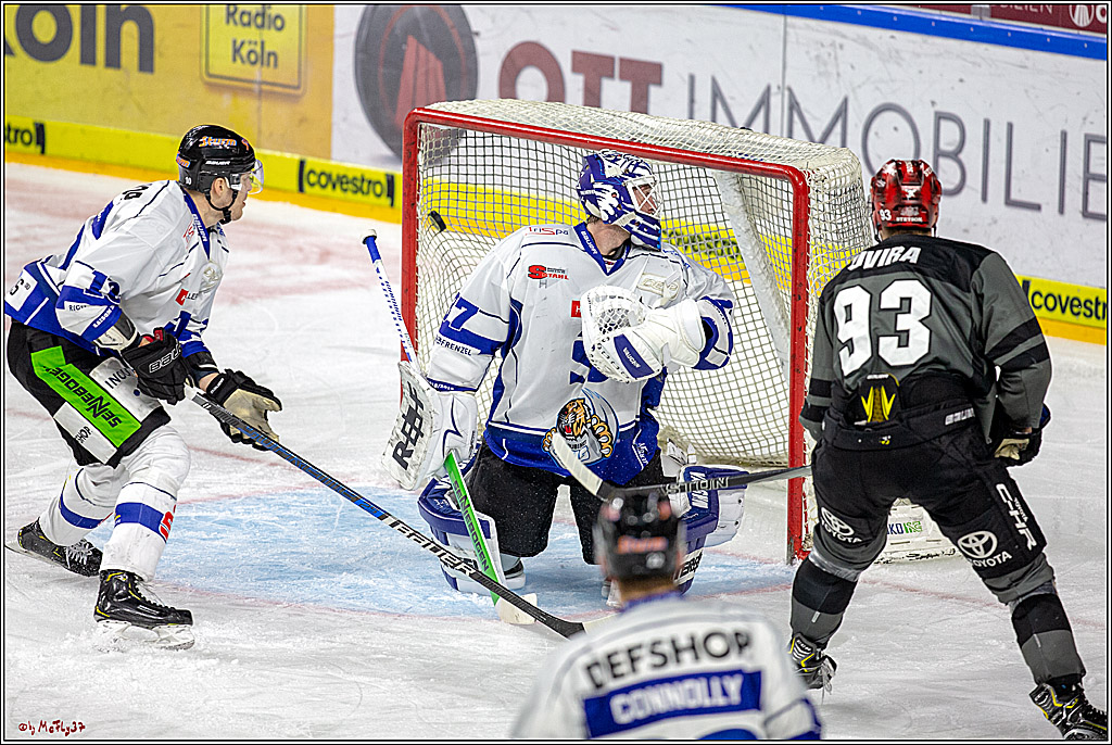 DEL; Koelner Haie - Straubing Tigers, 02.12.2018
